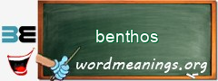 WordMeaning blackboard for benthos